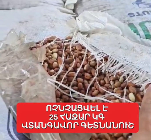 https://snund.am/public/storage/media/Screenshot 2026-08-04 103240_1785825303.png